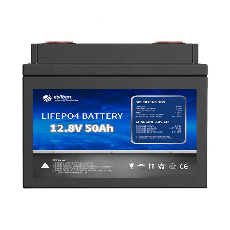 Lithium-Iron Phosphate Battery 12 Volt 50Ah .jpg