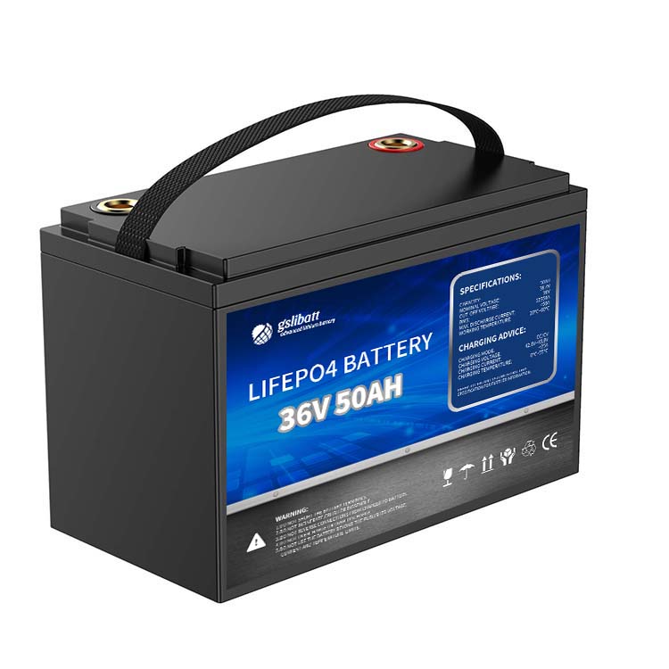 36 Volt 50Ah Lithium Battery.jpg