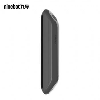 Ninebot Segway E25 battery