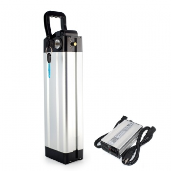 e bike silver fish lithium battery